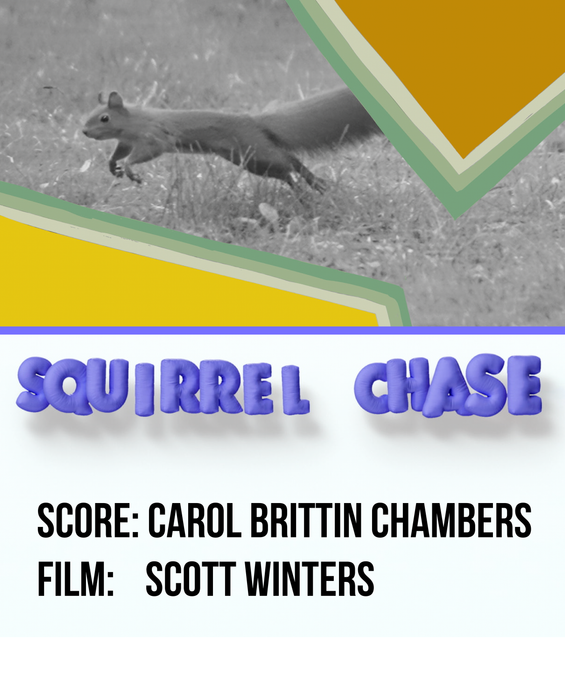 Squirrel Chase