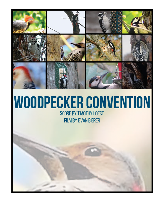 Woodpecker Convention